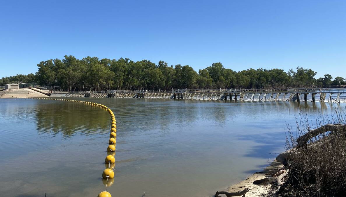 The weir has been replaced at Mildura to allow the Murray River to return to its normal level. Picture from Goulburn-Murray Water