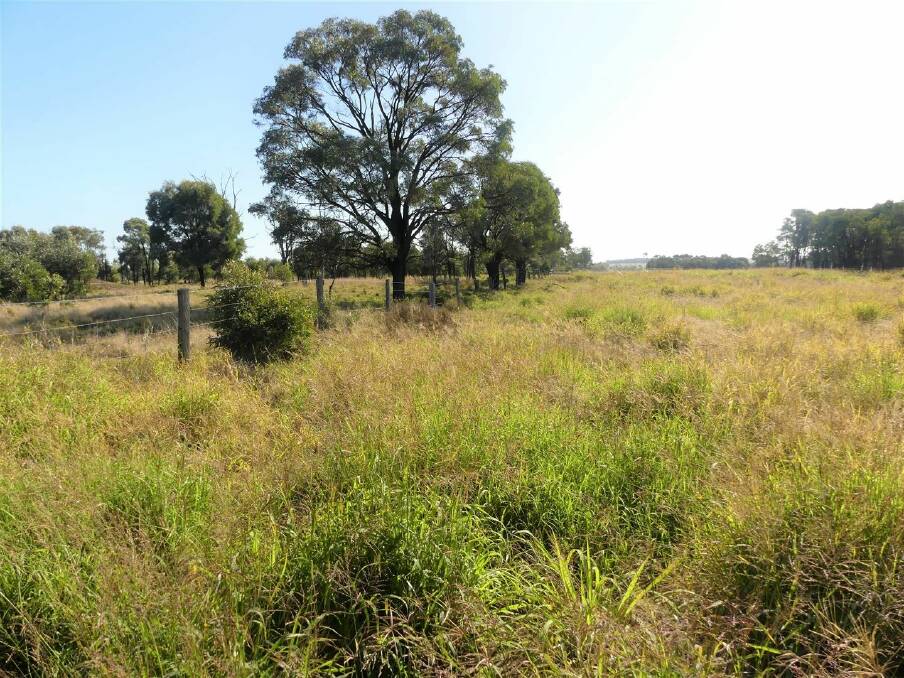 A red hot price of $1946 an acre has just been paid for this cattle country on Queensland's Western Downs for a total of $8.4 million.