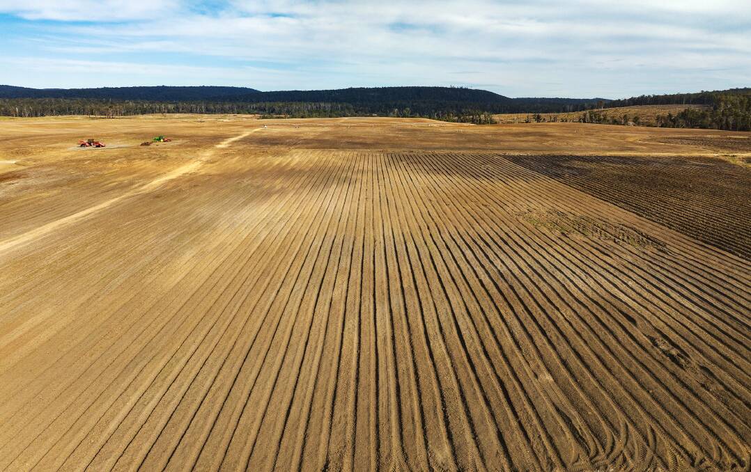 A Tasmanian forestry project has been used to attract the interest of potential buyers for its carbon farming potential. Pictures from LAWD