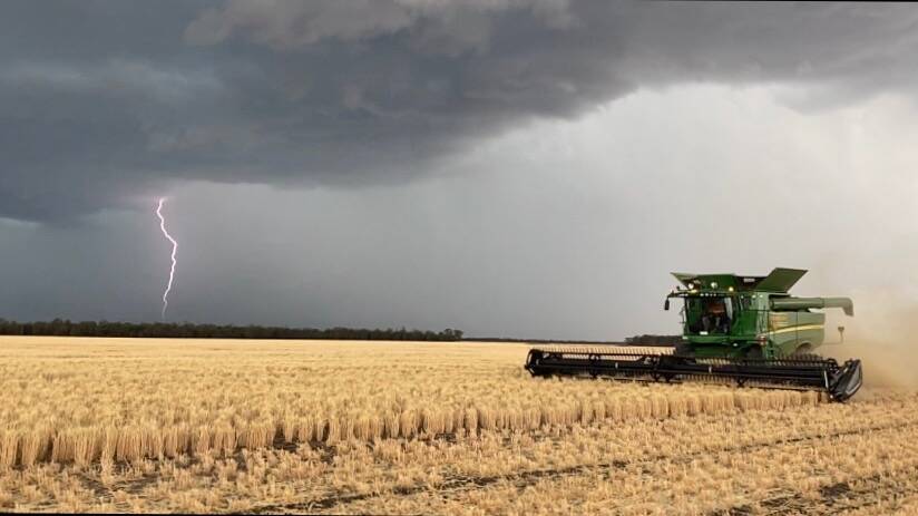 Rain at harvest time is keenly watched for. Picture: BB Harvesting.