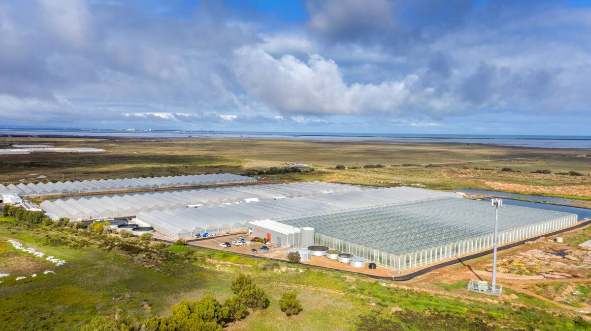 P'Petual Holdings' glasshouse development on the Adelaide Plains has sold to a big investment fund.
