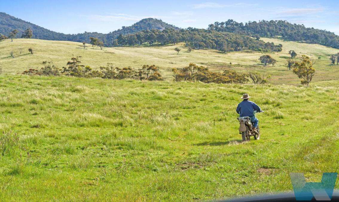 Benambra in East Gippsland was one of the first farming areas settled in Victoria because of its obvious grazing promise. Pictures and video from Bill Wyndham and Co