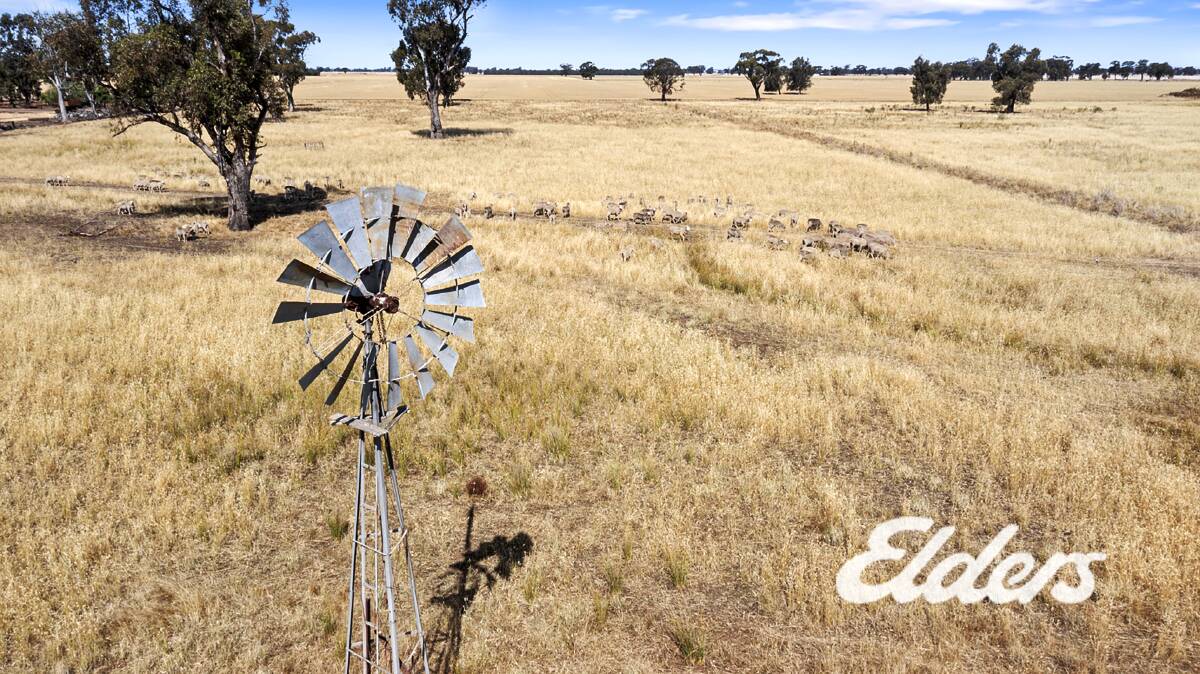 This farm block at Burramine is being offered for the first time in 147 years. Pictures: Elders Real Estate.