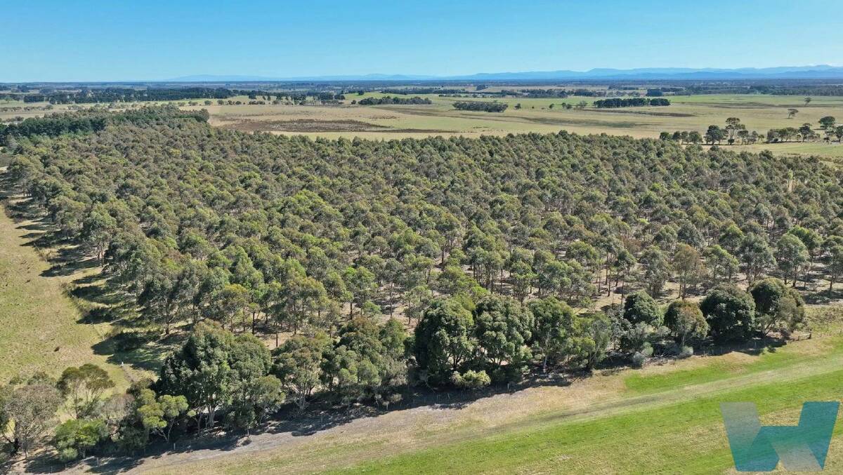 One of East Gippsland's biggest grazing properties selling again