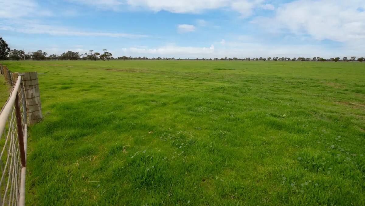 Solid price paid for mixed farming land on the edge of the Mallee