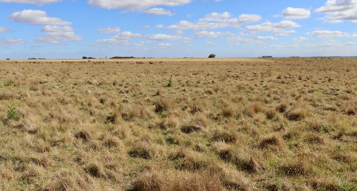 Walk-in and walk-out offer for buyers of Western Plains farm
