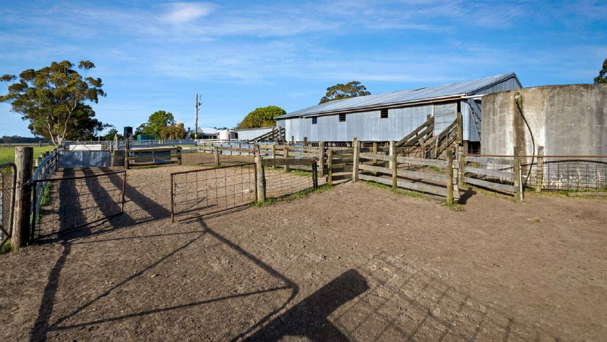 Border grazing farm heads to auction later this month