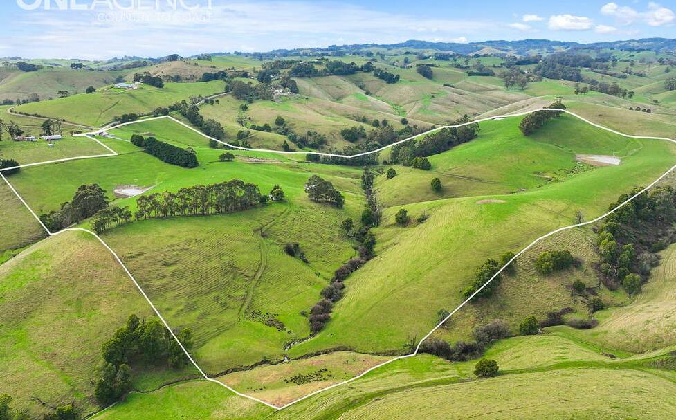 No farmhouse but the old dairy and some sheds were sold with this fertilse grazinbg country in South Gippsland. Pictures from One Agency Country to Coast.
