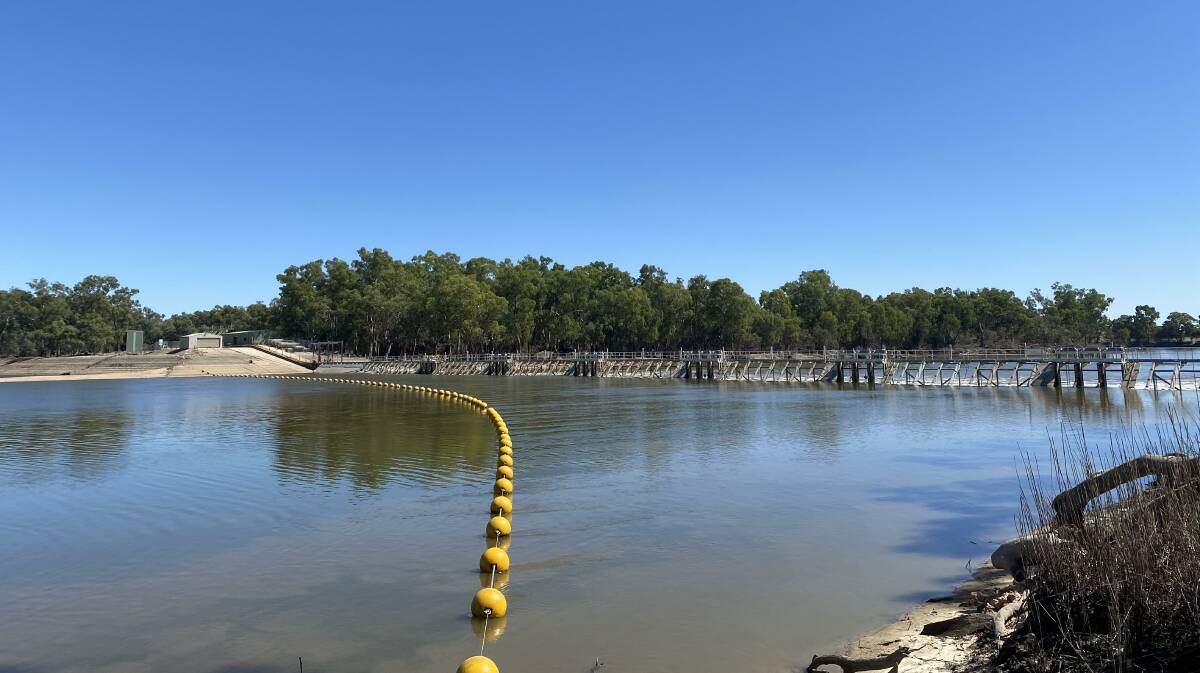 Back to full supply, the Murray River at Mildura. Picture from MDBA