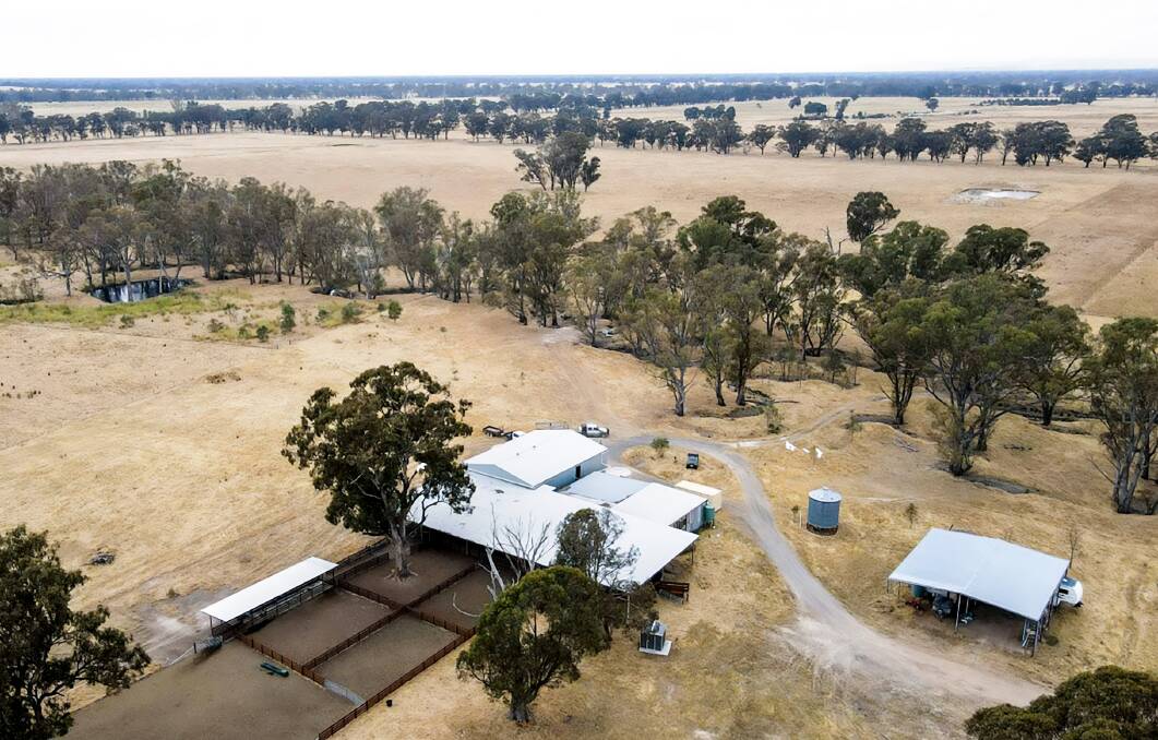 Large undercover yards and a new four-stand shearing shed are features of this Nagambie grazing farm for sale. Pictures: CBRE Agribusiness.