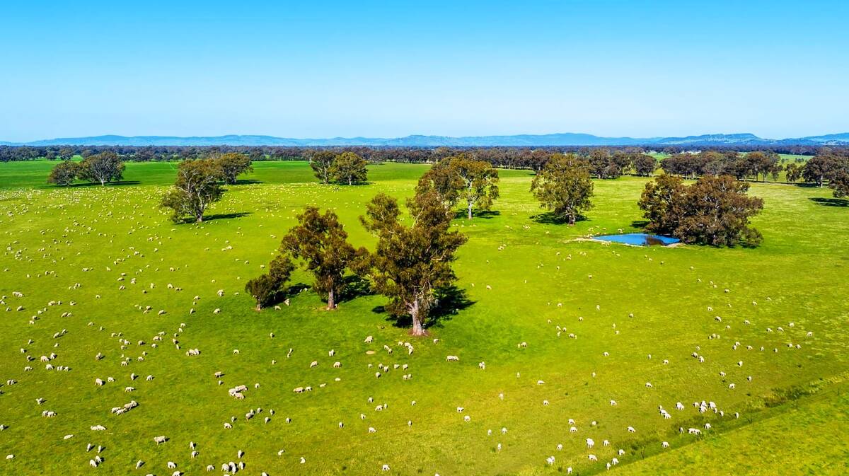 Choice stock grazing country in the foothills of the Strathbogie Ranges. Pictures from CBRE and Elders