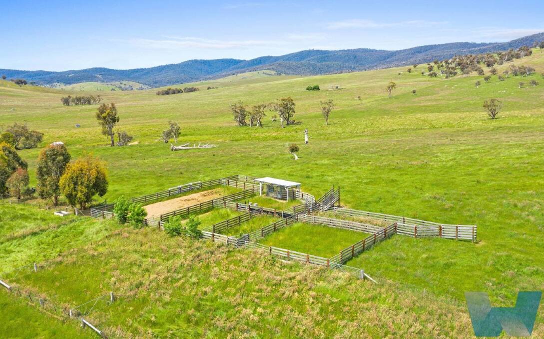 Soutter's renowned grazing land in the High Country up for sale