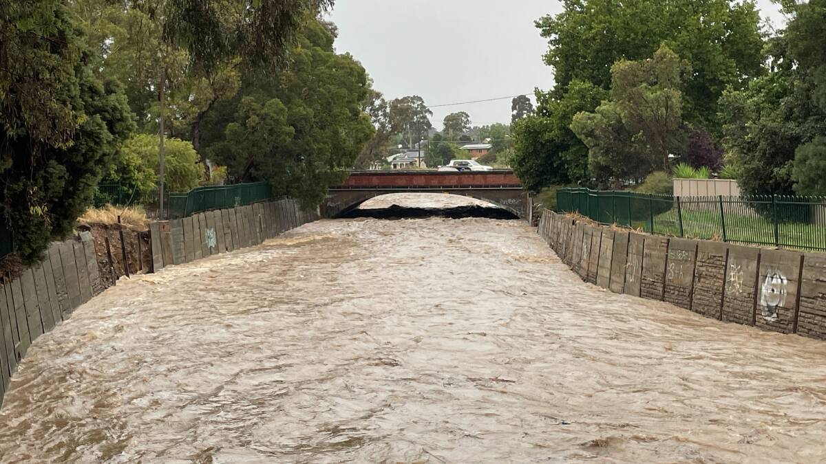 Bendigo Creek yesterday - the city recorded 30.8mm for the day, just shy of its average for the month. Picture from Bendigo Advertiser.
