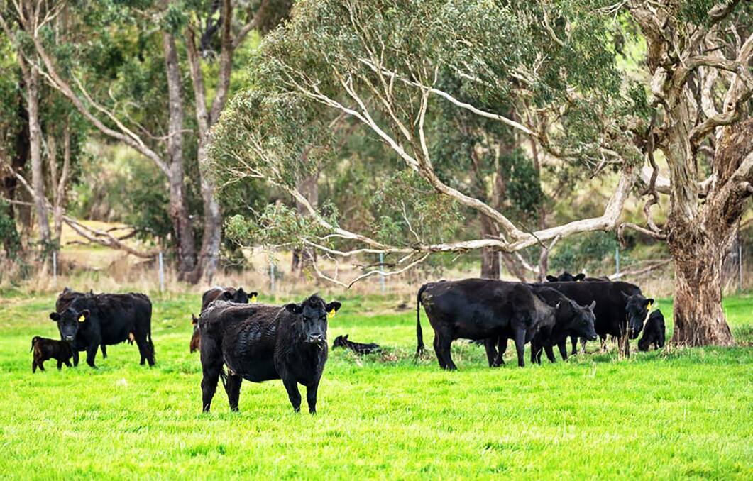 The farm's proximity to Melbourne, its quality home and then its agricultural opportunities push the price over $5 million, agents say.