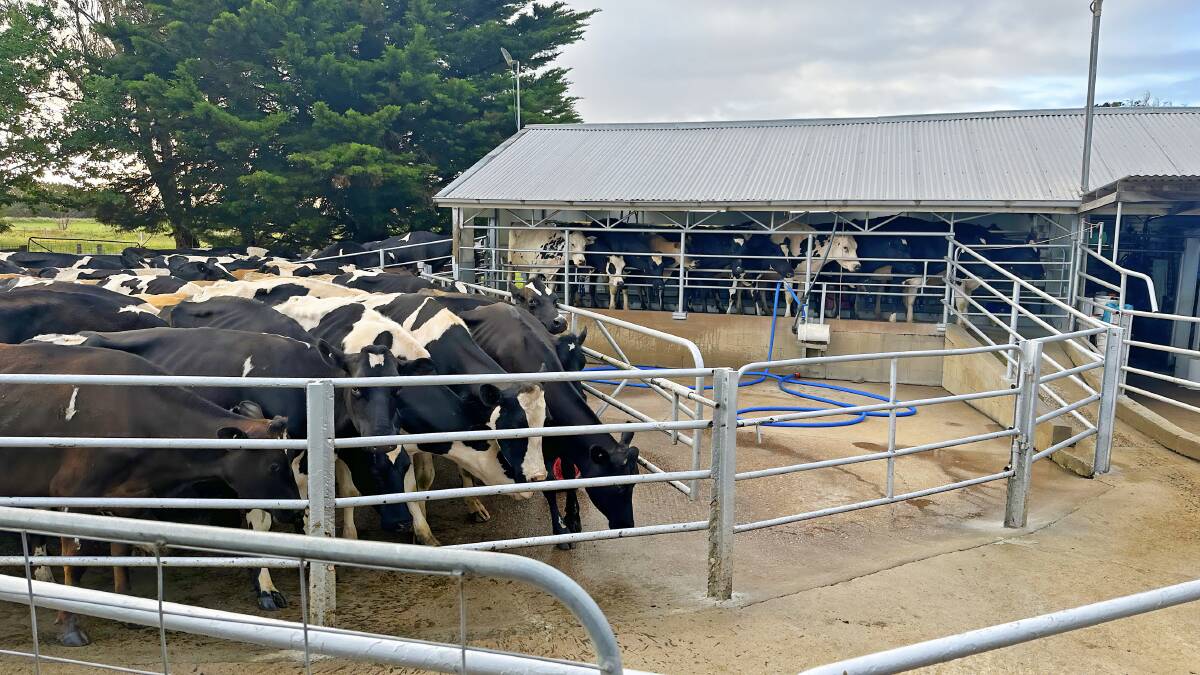 Competition between neighbours saw a small Nambrok dairy farm sell for $18,293 per acre, and it wasn't even officially on the market. Pictures from CB Livestock and Property