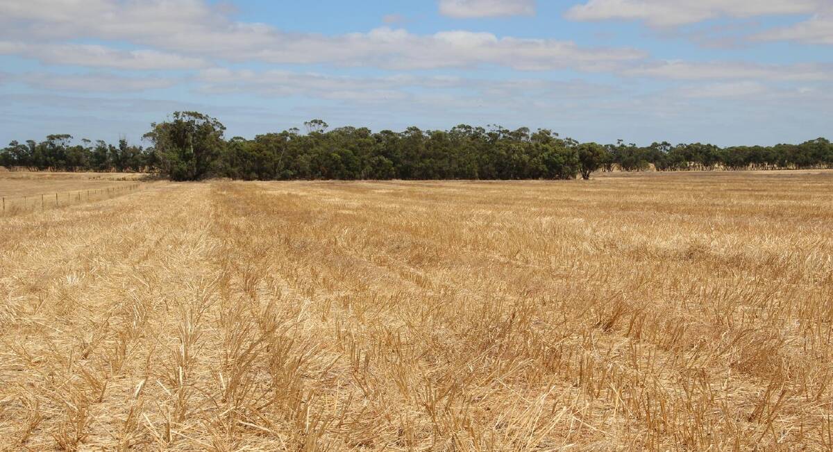 The new buyer will no doubt be preparing to sow this season's crop to help pay for this cropping country near Horsham. Picture from Harcourts