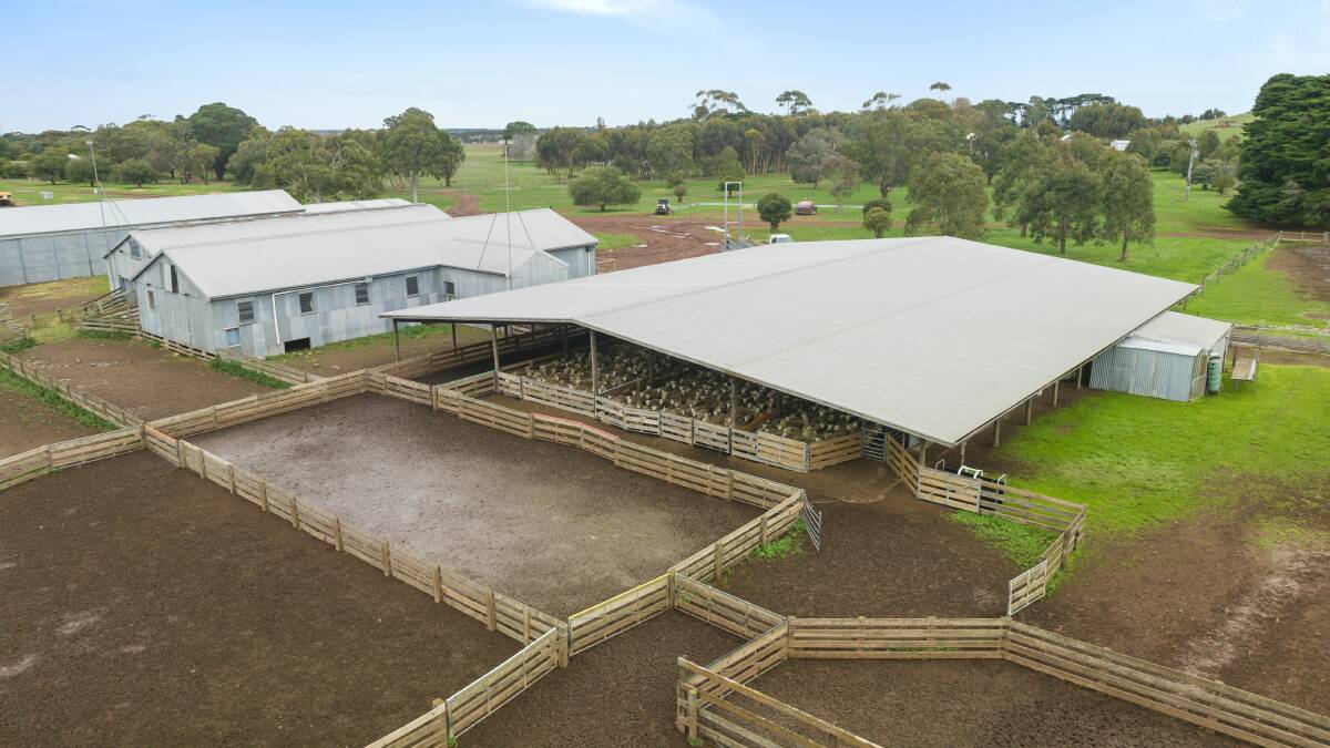 Two famous Western District sheep farms for sale walk-in walk-out