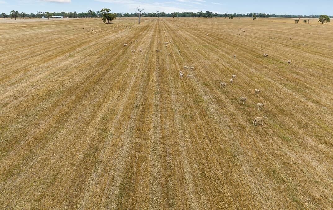 Two small paddocks at Goornong, near Bendigo, sold at auction for $1,320,000 or $10,000/acre in March. Picture from McKean McGregor