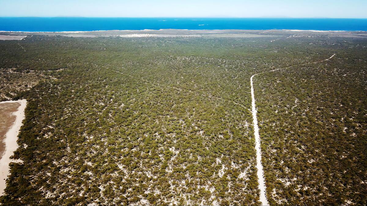 At $120,000 for the best part of 1000 acres, it has to be some of the cheapest land for sale in southern Australia - bordered by the Great Australian Bight and The Nullabor. Pictures from Kilby Stock & Station agency