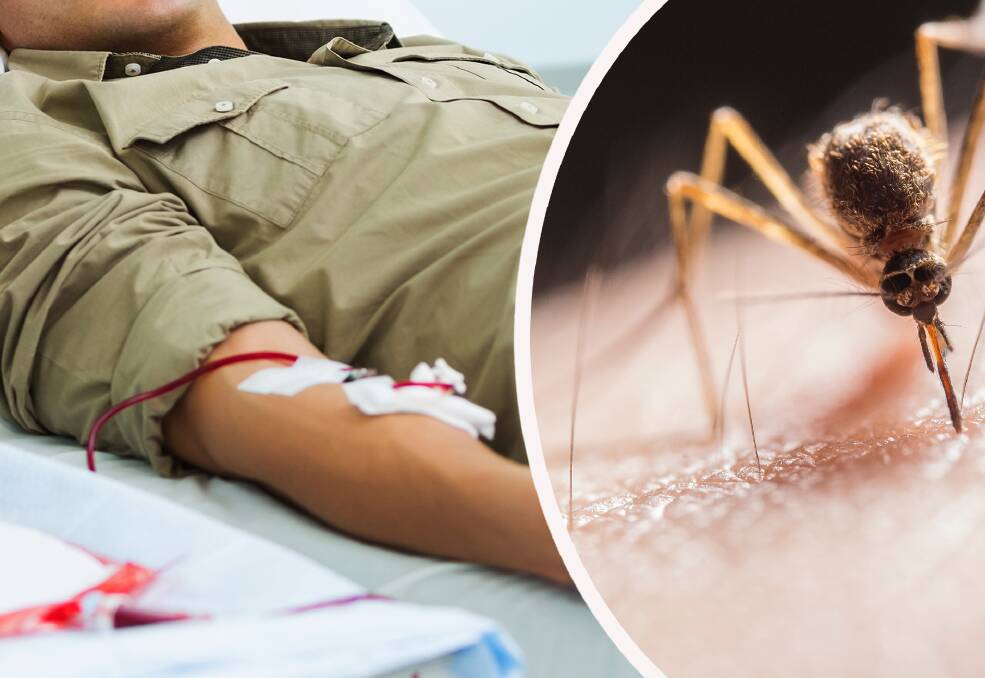 BLOOD CALL: Volunteers are needed to provide some blood to help track the spread of Japanese encephalitis in one high risk area.