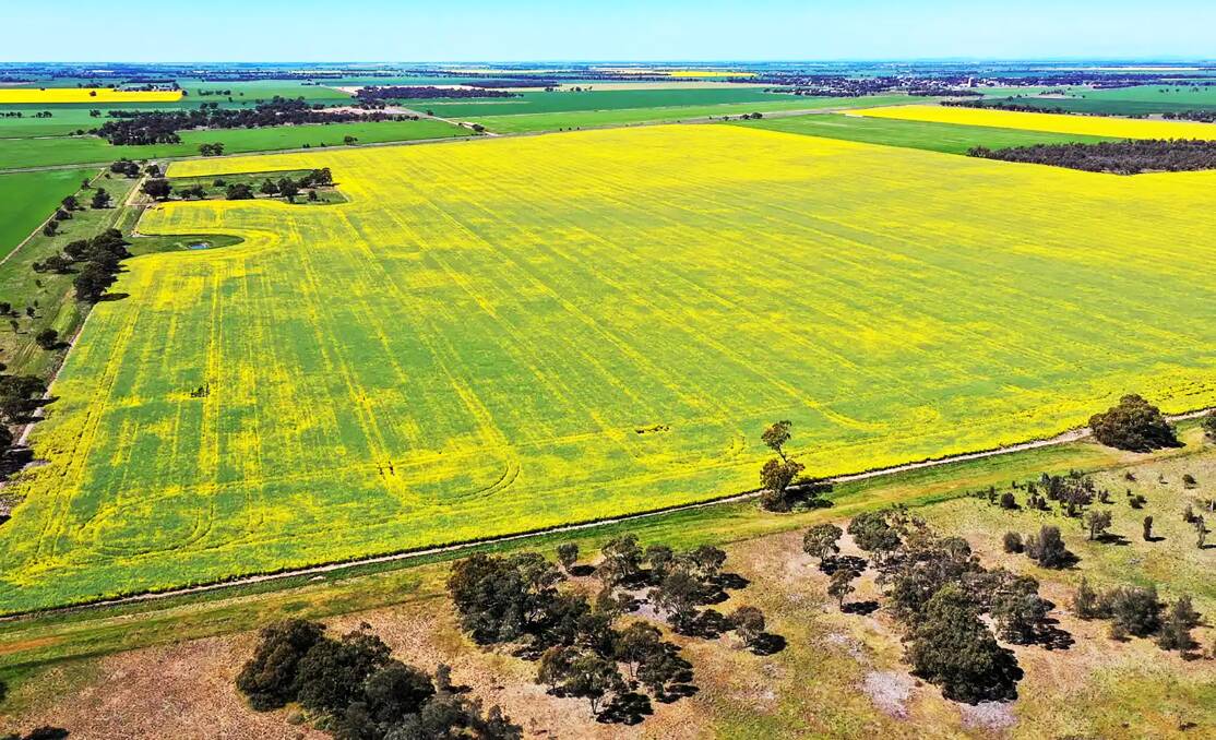 The Minyip farm block has been share farmed for several decades. Pictures from Ray White