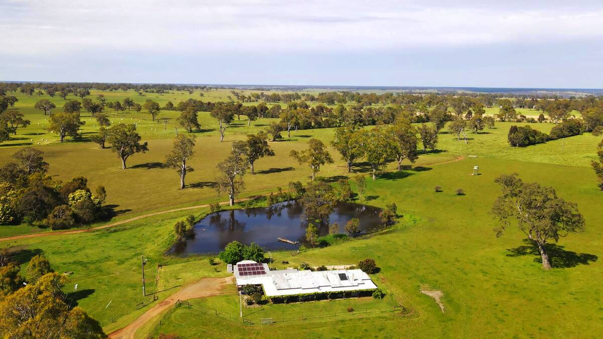 Majors Creek near Casterton failed to attract buyer interest at auction on Friday. Picture from TDC
