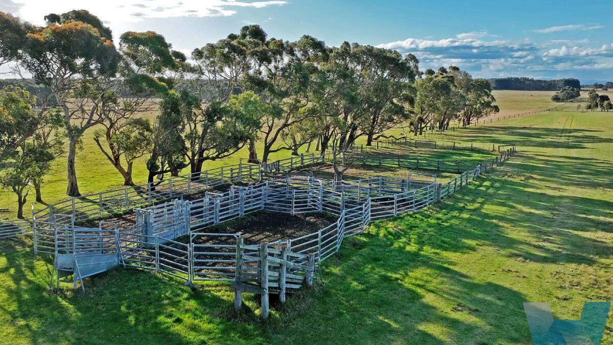 Gracemere has one set of cattle yards and two sheep yards. Pictures and video from Bill Wyndham and Co