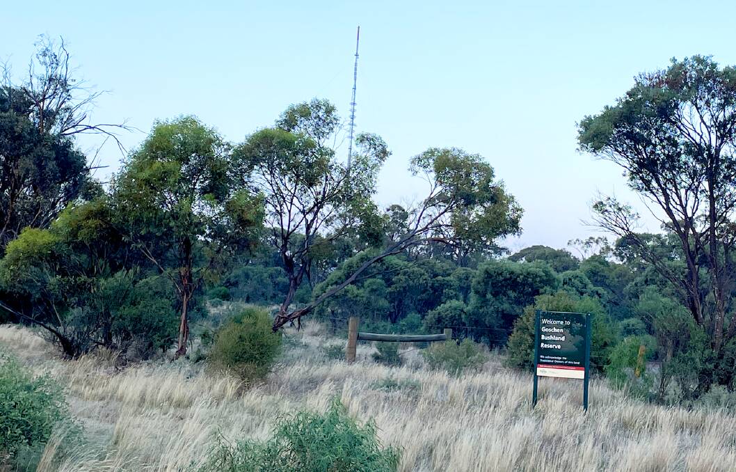 Goschen on the sealed Donald-Swan Hill Road with the big TV transmitting tower in the background.