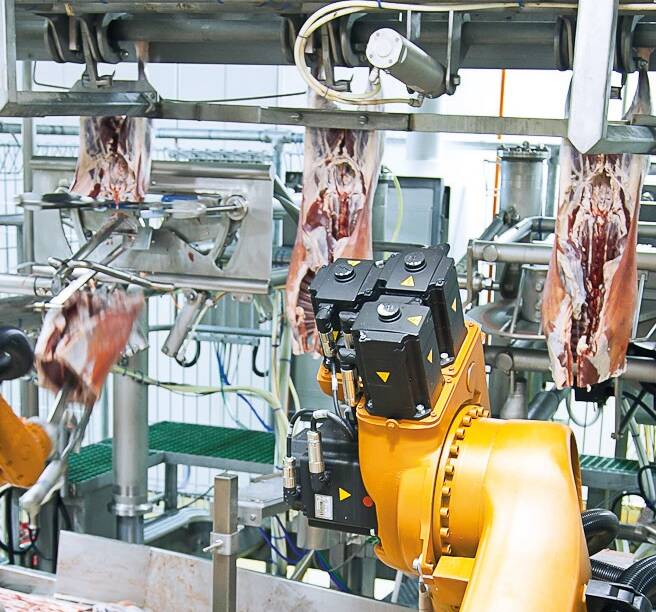 More meatworks invest in robotic systems