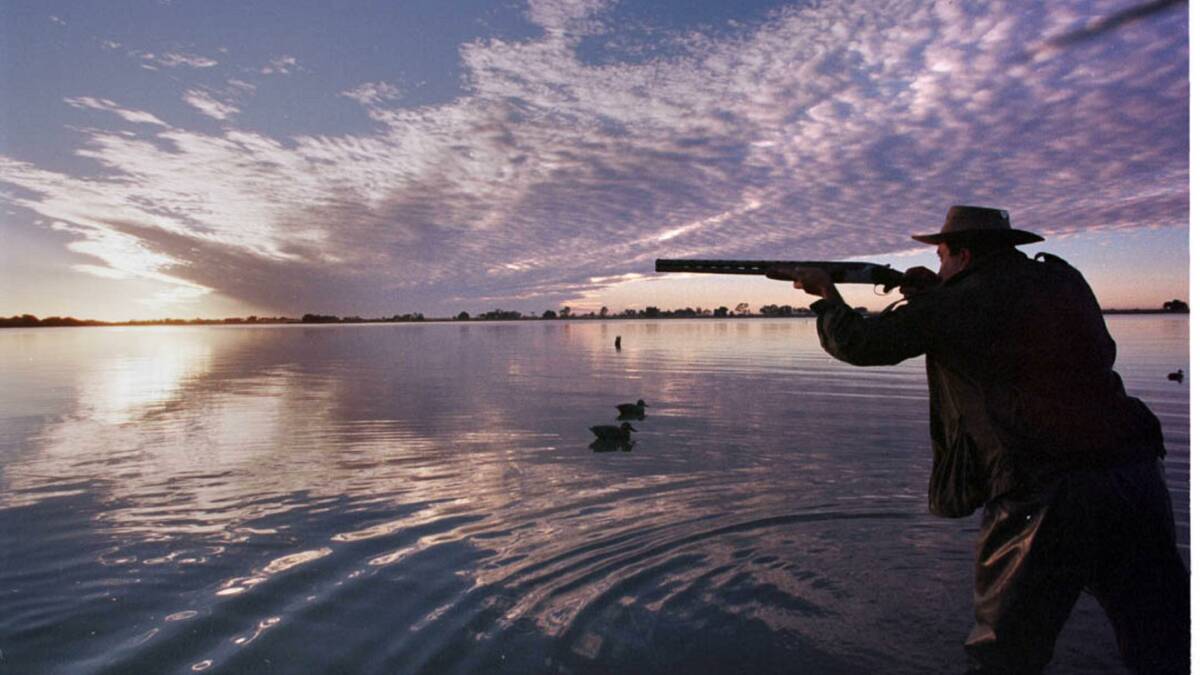 The government is weighing up recommendations from an inquiry which has recommended the end of duck hunting.