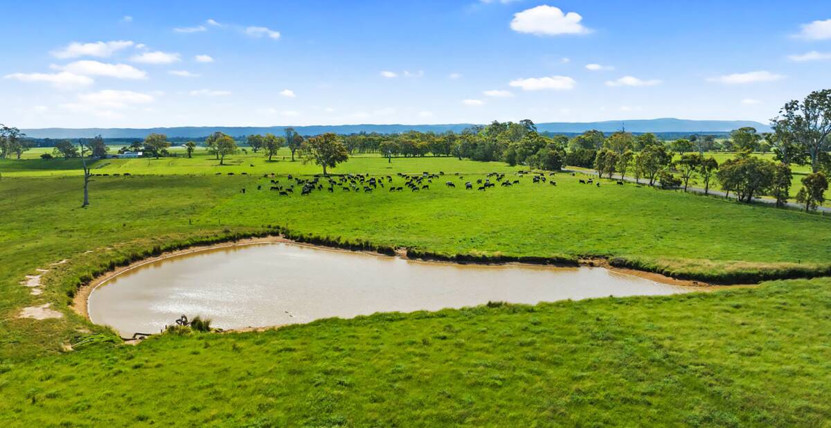 Grab the herd with sale of first-class dairy farm in Gippsland