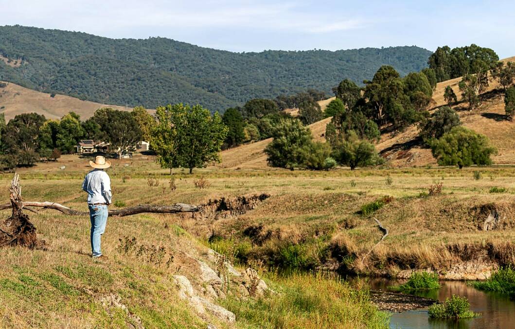 Pretty as a picture grazing in the Upper Murray goes to auction