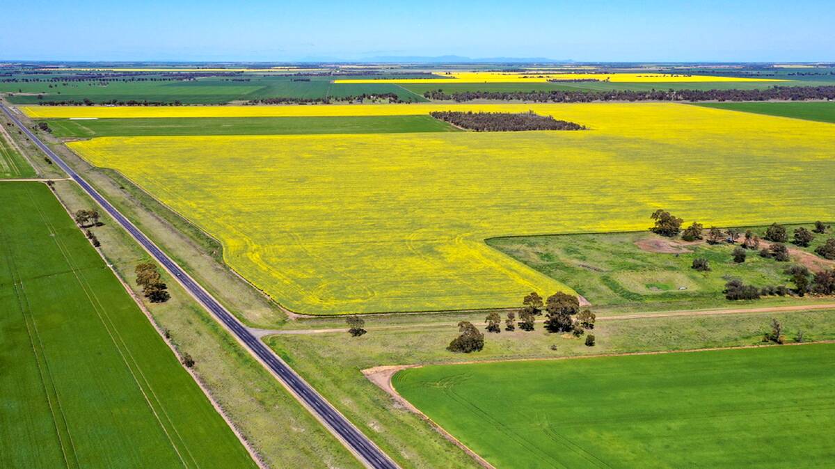 Wimmera cropping land for sale after long family ownership
