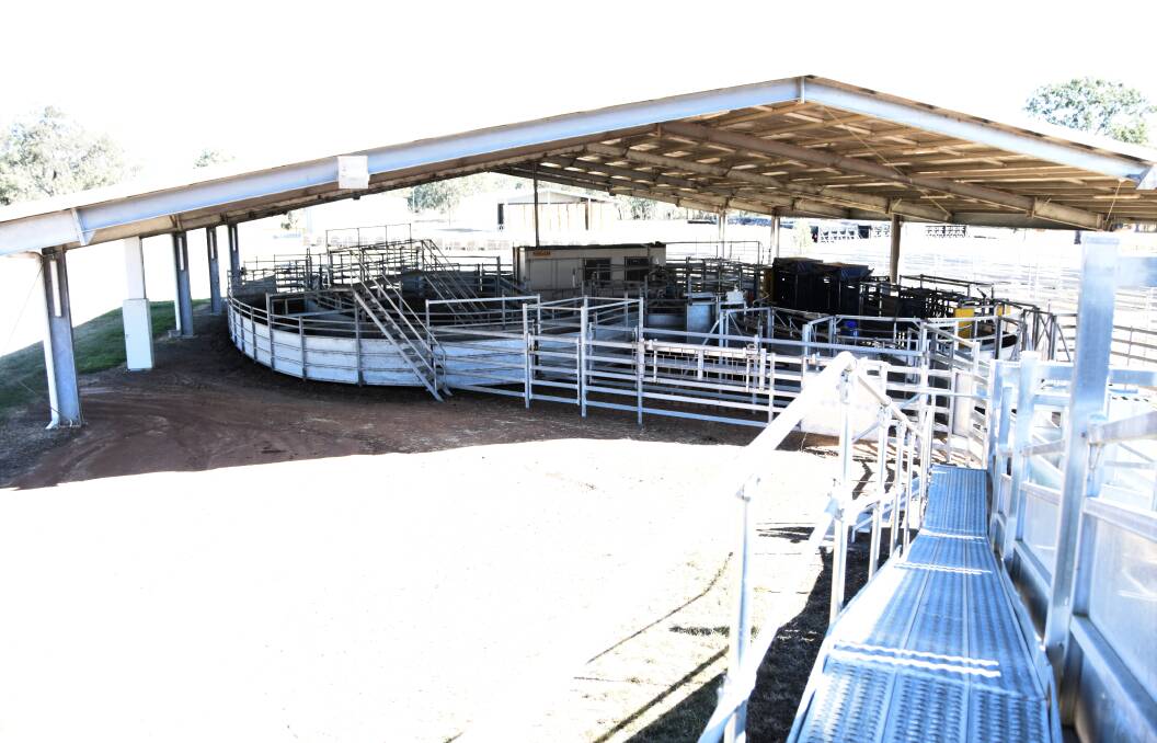 Ashvale Station's $250,000 newly designed cattle yards.