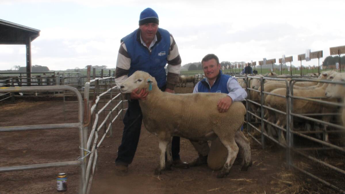 Chrome's Matt Tonissen and Assistant manager Hamish Thomas brave the showers to get a photo with one of the top-priced rams, purchased by Yarram Park.  