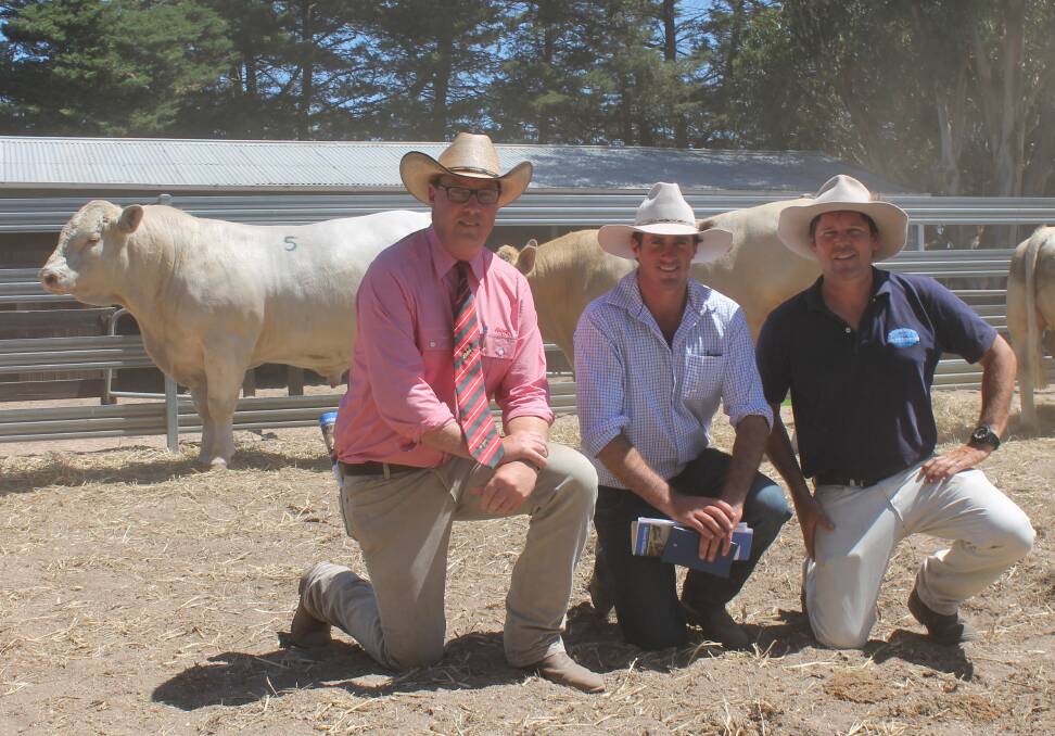 Elders stud stock auctioneer Ross Milne with purchaser James Millner, Rosedale Charolais, Blayney NSW, who purchased the top-price bull, Lot 5 Mount William Monolith for $26,000 with Mount William's Rob Abbott.