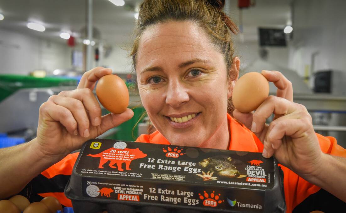 GIVING: Melanie Faulkner, crew member of Pure Foods Eggs, with a pack of eggs that is helping raise money for Tasmanian devlis. Picture: Paul Scambler