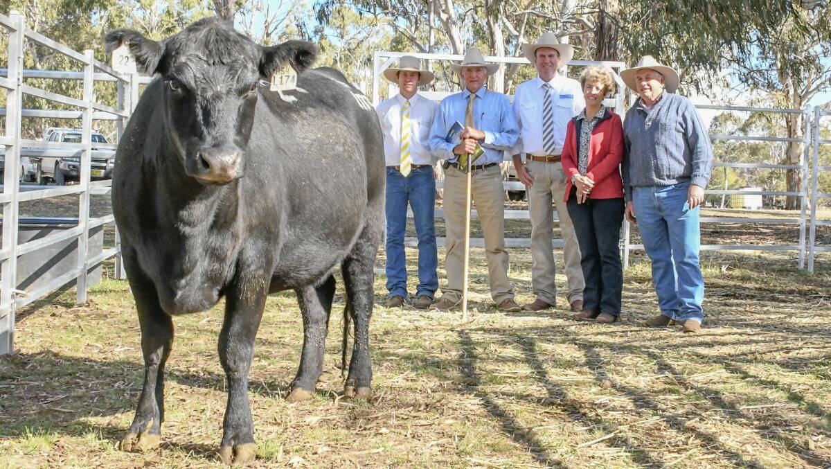 Steve and Leanne Collins, Brooksby Angus were excited to secure Wattletop Usual L174, pictured here with Lock Roger, Paul Dooley and Sam Sewell.