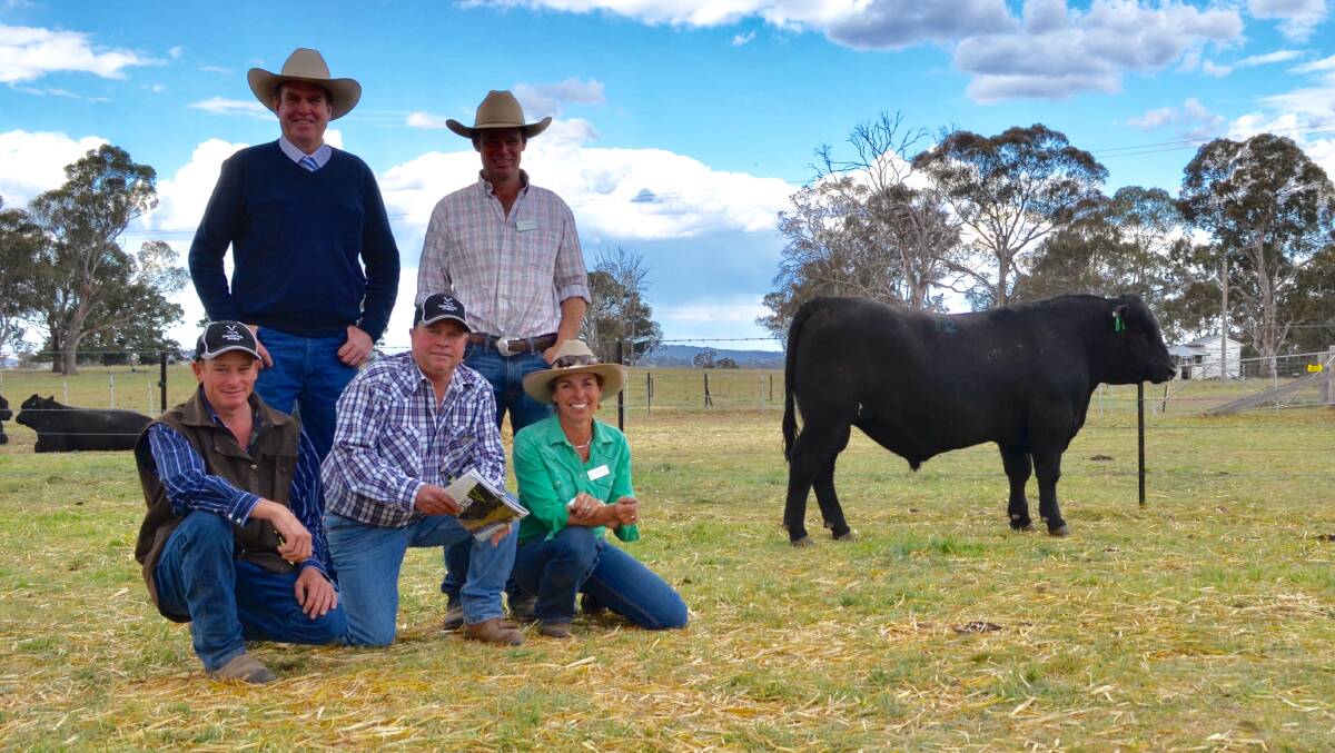 Auctioneer, Paul Dooley and Stu Halliday stand behind Ashley and Brett Haager, Valorbrook Angus, Bell, QLD and Erica Halliday with their now $30,000 stud sire.