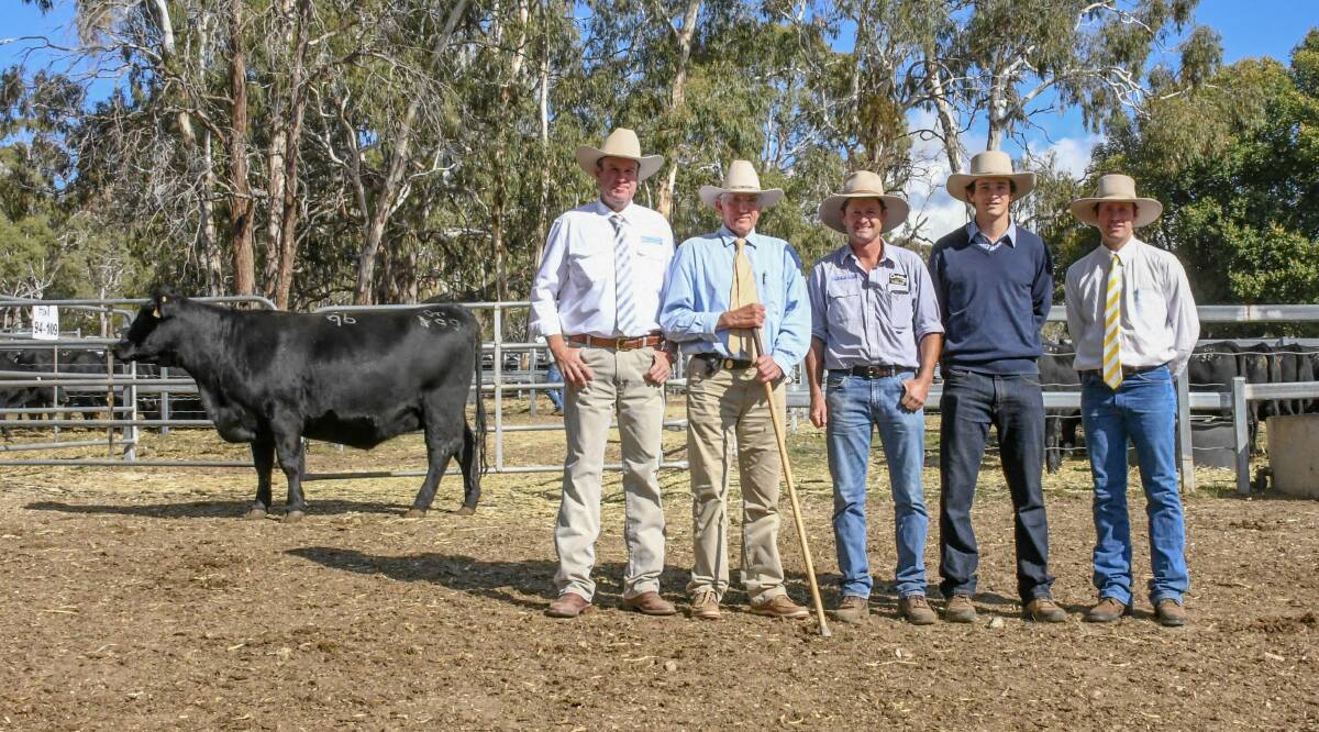M99 sold for $24,000 to Chris Paterson and son Jye, Heart Angus Tamworth, pictured here with auctioneer, Paul Dooley; Wattletop's Lock Rogers and Sam Sewell, Ray White Livestock.