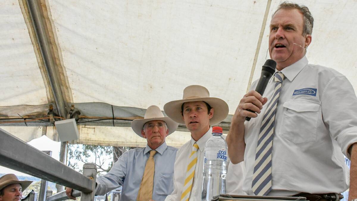 Lock Rogers in the rostrum with Sam Sewell, Ray White Livestock Guyra/Armidale and auctioneer, Paul Dooley, Tamworth.