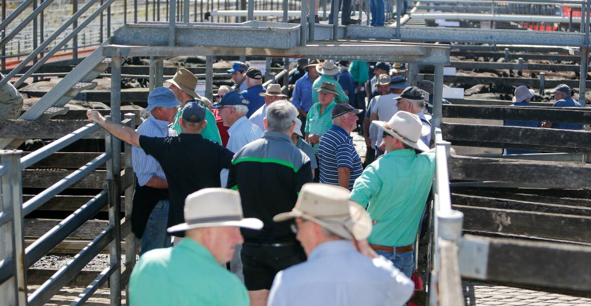 Warrnambool saleyards will never again make a profit, and misinformation has been put forward to ratepayers and councillors about its performance according to the city's council audit committee chair Leon Fitzgerald.