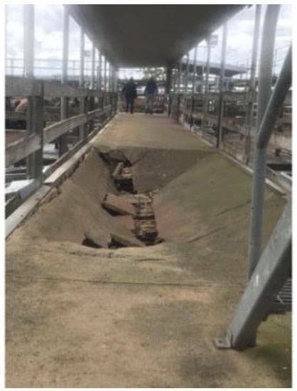 The collapse of a concrete public buyers platform at the Warrnambool saleyards in October 2020 has led to the city council being charged this week and facing a maximum penalty of $1.48 million.