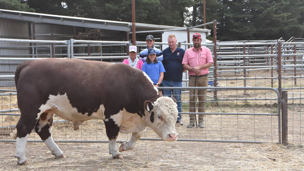 POTENTIAL: The top-priced bull with the Lyons family and buyers Jason Koch and Sam Broomby, Elders, in the background.