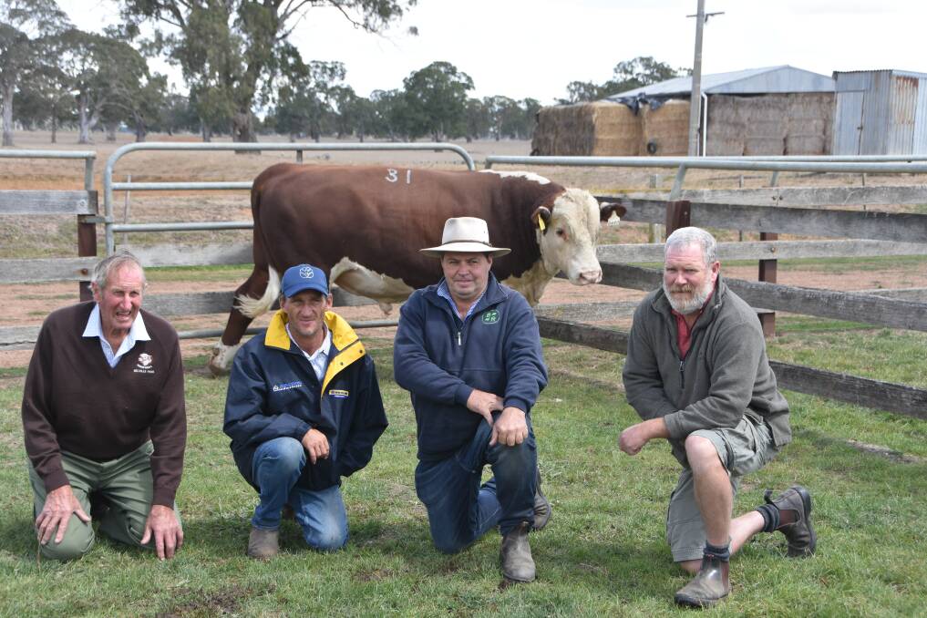 BIG DOLLARS: David Lyons and Nathan Roberts, Melville Park, together with agent Jamie Bellinger, Penola, SA, and buyer Stephen Cuhl, Tarpeena, SA, with the top-priced bull on Monday.