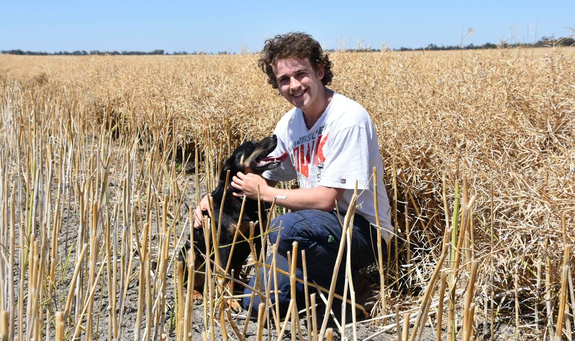 Will Martin, Brim, north of Warracknabeal, together with Lexie in a paddock of canola at Areegra, east of Warracknabeal in Victoria's northern Wimmera. Photo: Gregor Heard.