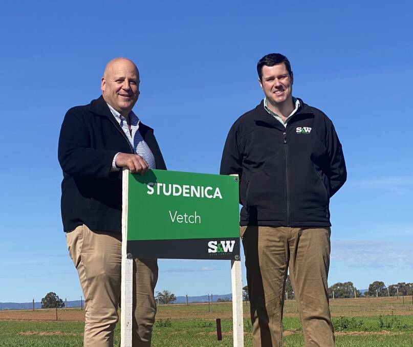 David Basham, SA minister for primary industries with Tom Damin S&W Seed Company Australia pasture research lead, inspecting Studenica vetch at the
Penfield pasture evaluation site Virginia.