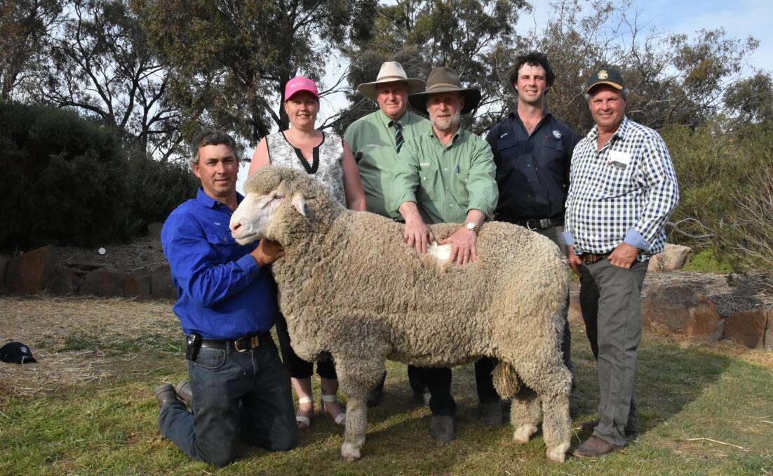 BRIGHT WHITE: From left Tim and Karina Polkinghorne, together with Landmark St Arnaud agent Damian Drum and Landmark Wool's John McGrath, Banavie livestock manager Brent Flood and Roger Polkinghorne admire the staple on the top price Banavie ram which made $19,000, bought by Darriwell Poll Merinos, Trundle, NSW.