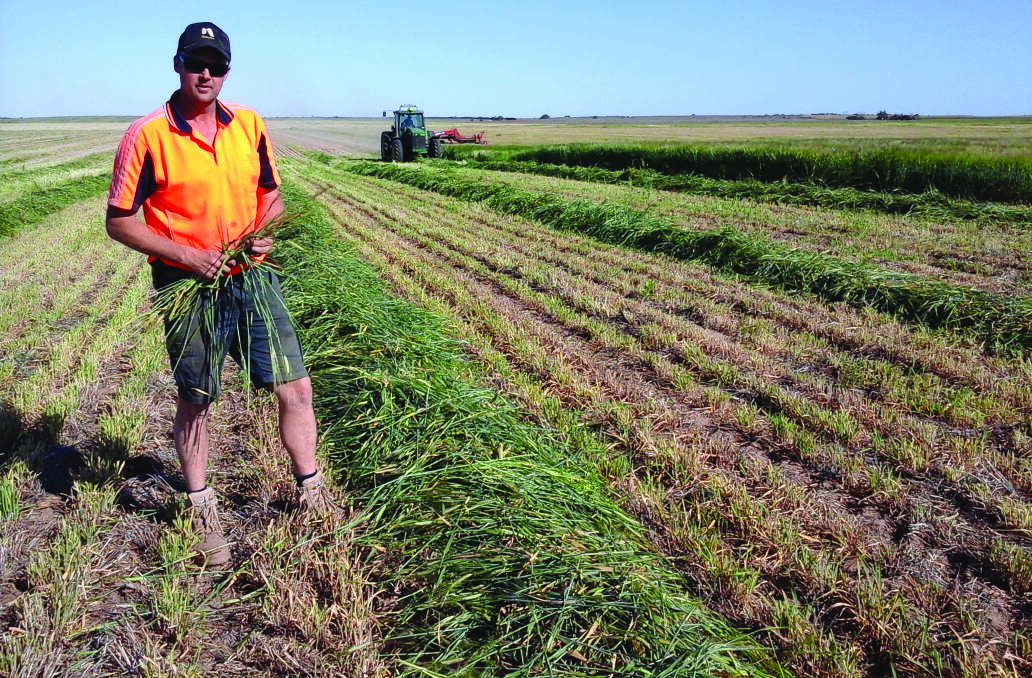 Hay is an important part in the weed managemnet strategy for Pinnaroo, SA, farmer Wade Nickolls.