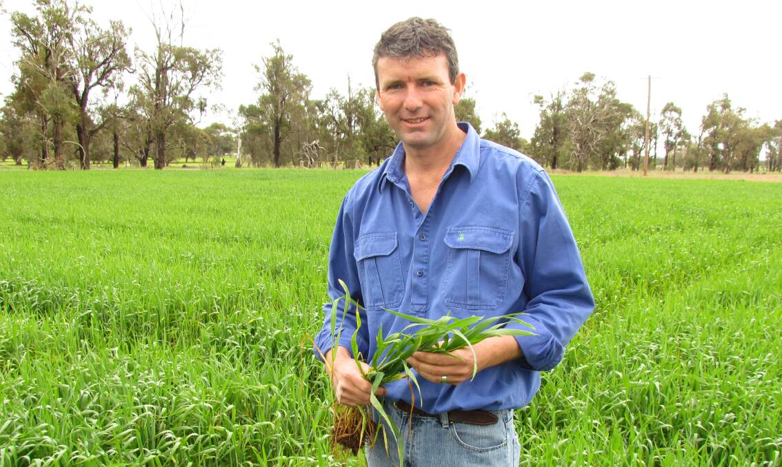 Grain Grower chair and Victorian grain grower, Brett Hosking, doesn't expect the high inputs of fuel and fertiliser be a deterrent on the area sown to crop next season. 